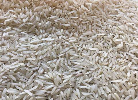 قیمت برنج شمال فجر  + خرید باور نکردنی